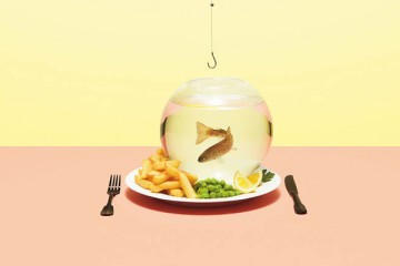 Bigger than the plate