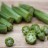 Che cos’è l’okra?