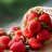 Trovare l&rsquo;ago in una&hellip;fragola 