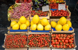 Le radici del nostro cibo
