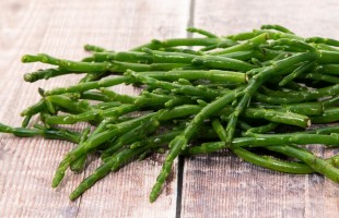 In cucina con la salicornia 