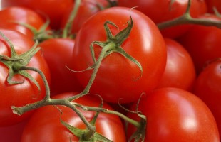 Ode al pomodoro