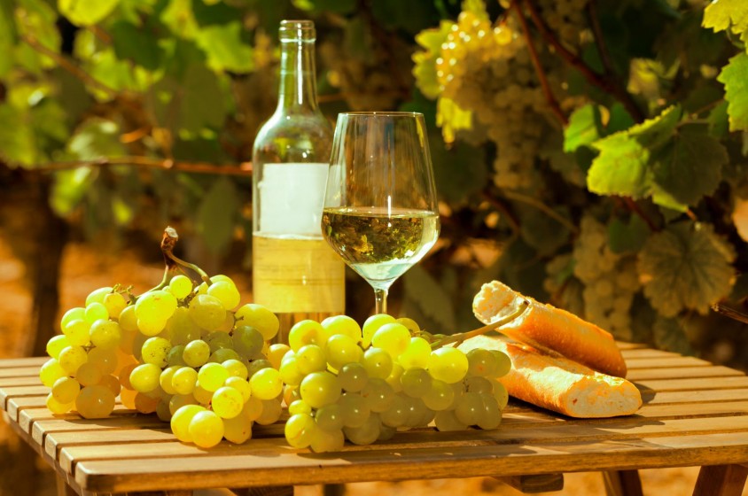 Il vino Frascati 