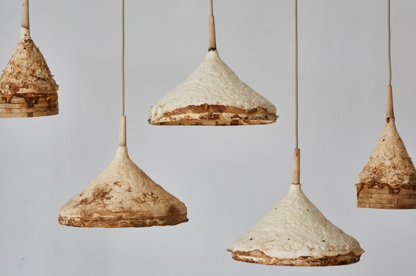 Mobili fatti&hellip; di funghi