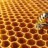 Un premio per Beeing