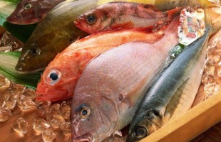 Dal Mar Rosso alla tavola egiziana 