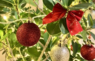 Il magico Natale