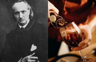L&rsquo;Anima del vino