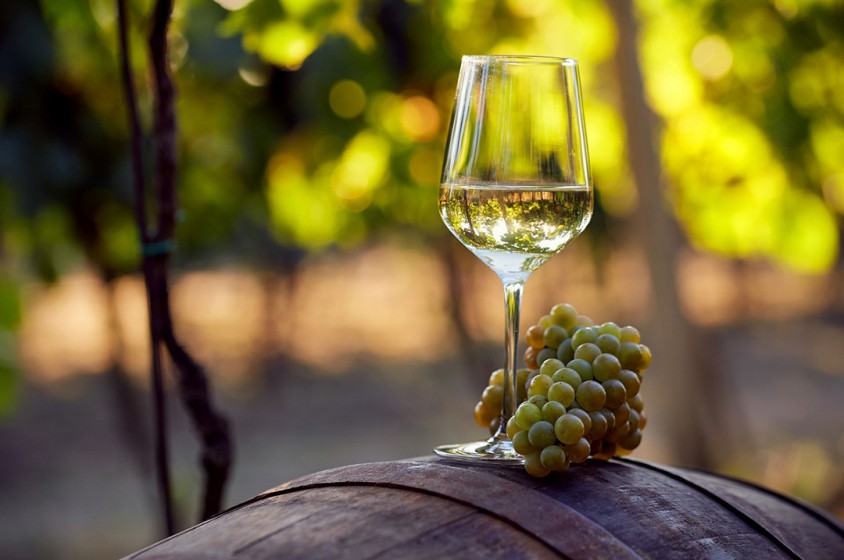 Il vino Grillo