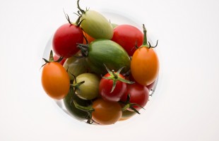 Tutti i colori del pomodoro 