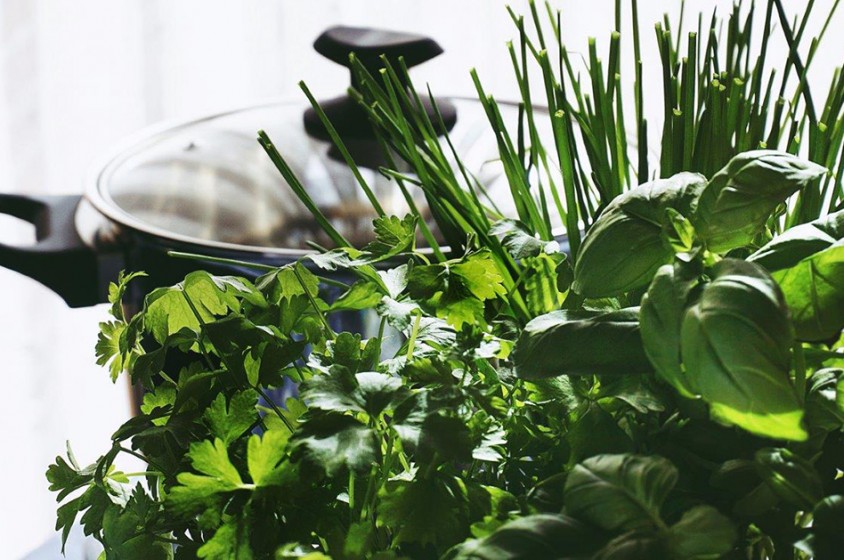 Erbe aromatiche: consumo in crescita 