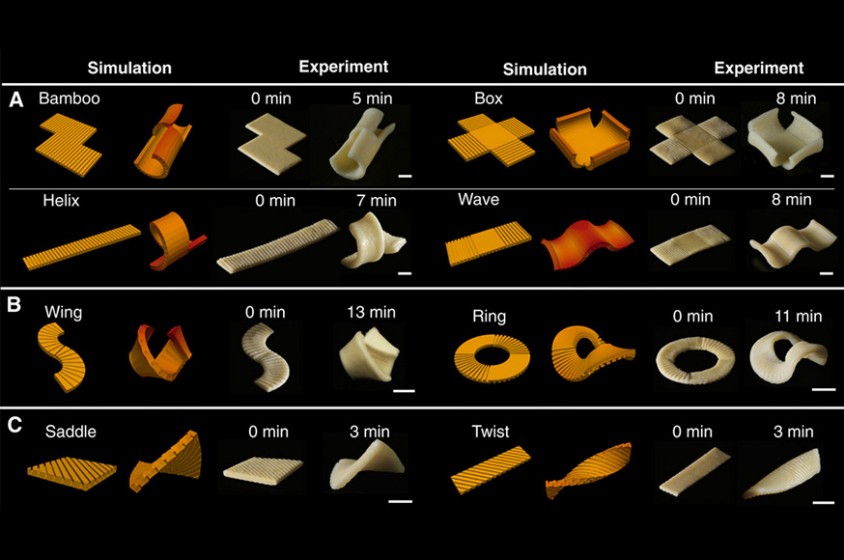 La pasta in 3D 