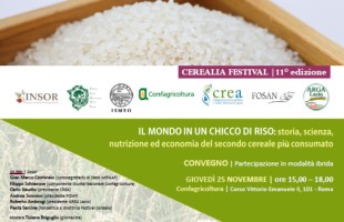 Il mondo in un chicco di riso