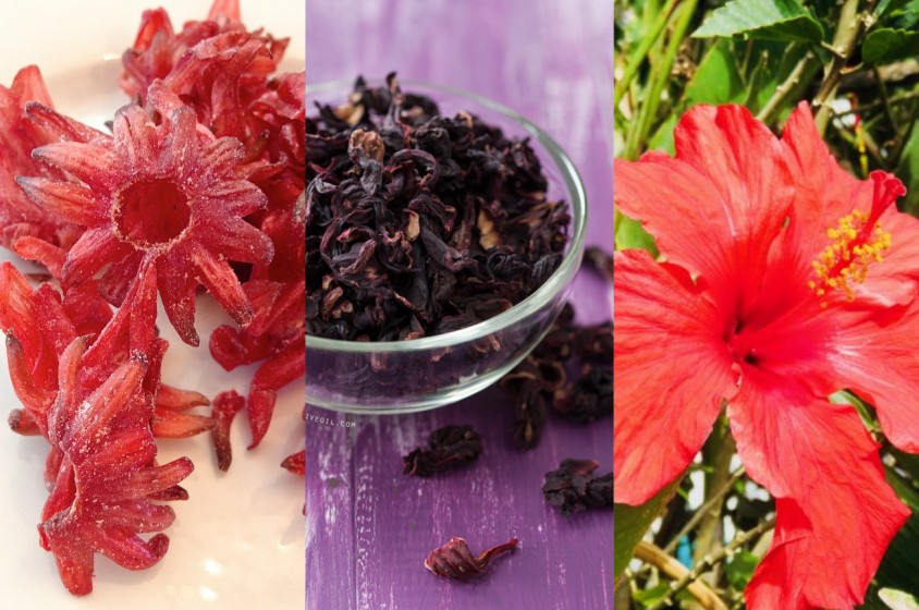 A tavola con i fiori d&rsquo;ibisco