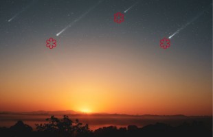 Stelle (s)cadenti