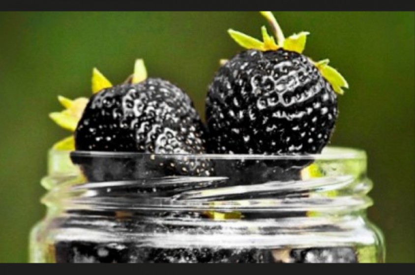 Quando le fragole sono... nere!