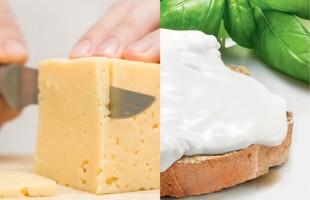&ldquo;Formaggi&rdquo; vegetali