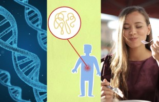 Il gusto &egrave; nella genetica