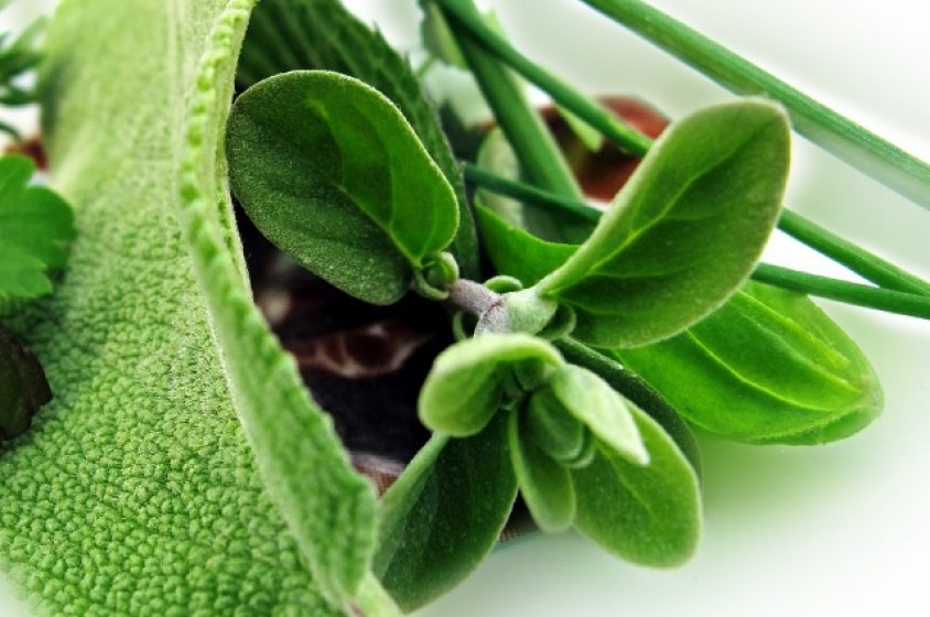 Erbe officinali aromatiche