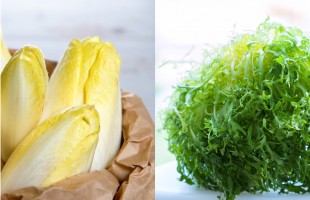 In cucina con scarola e indivia