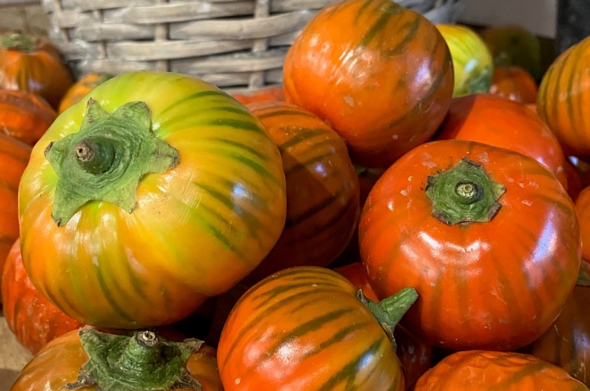 La melanzana rossa di Rotonda DOP 