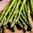 Una poesia per gli asparagi