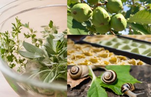 A tavola per San Giovanni
