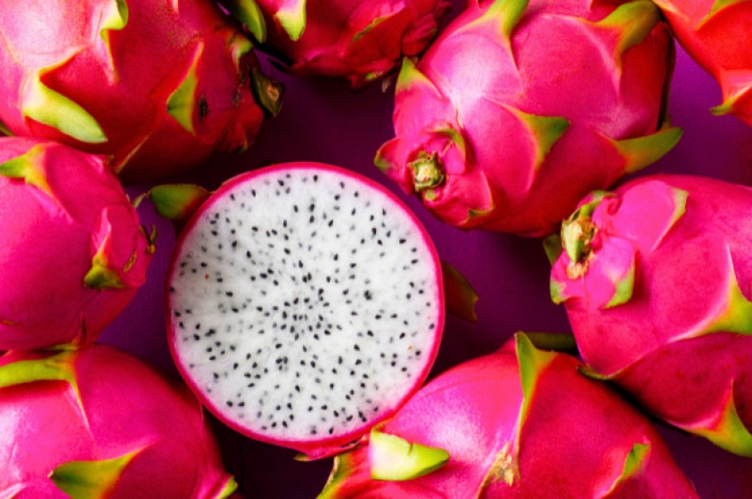 Il dragon fruit