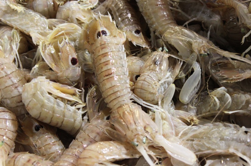 A tavola con la canocchia