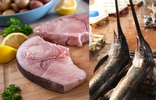 In cucina con il pesce spada