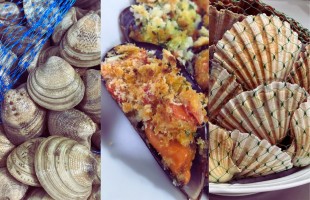 A tavola con i molluschi bivalvi 