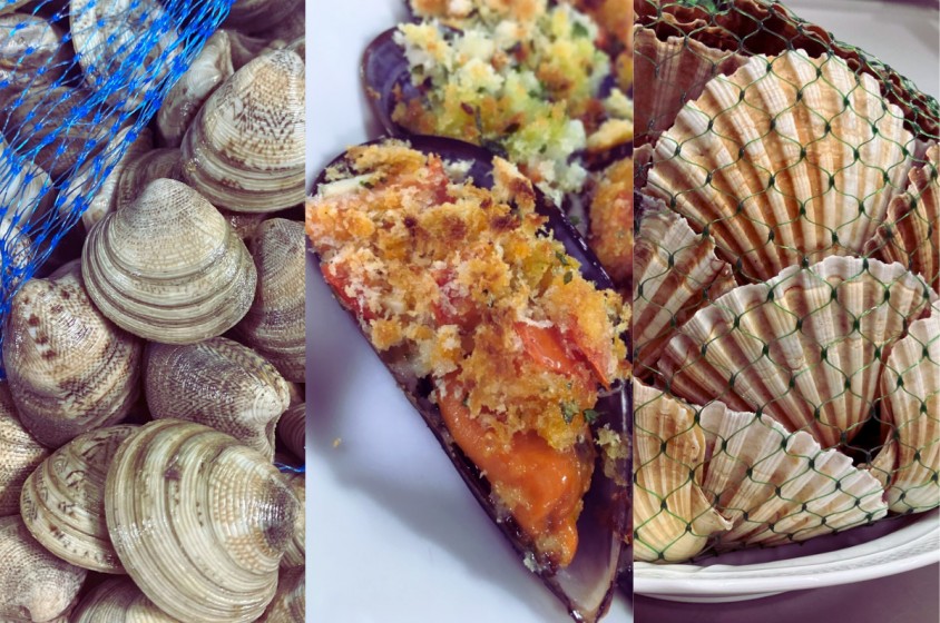 A tavola con i molluschi bivalvi 
