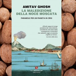 La maledizione della noce moscata