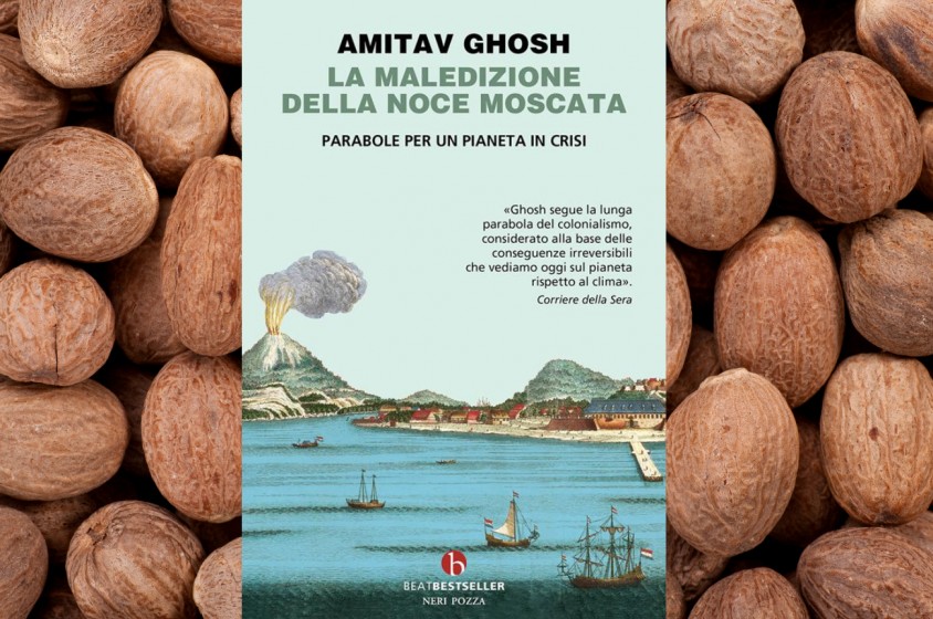 La maledizione della noce moscata