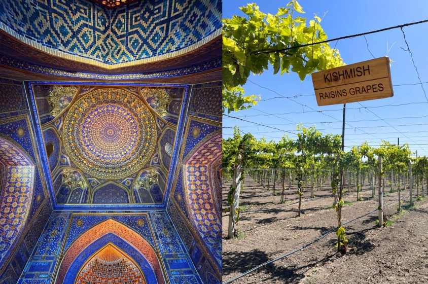 Il vino in Uzbekistan