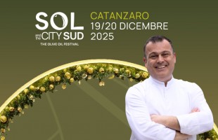 Sol Sud In The City