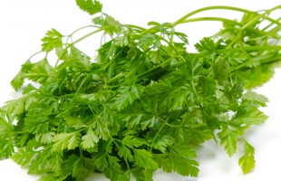 Il cerfoglio in cucina