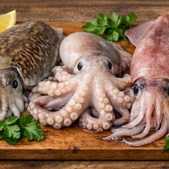 La cottura dei molluschi cefalopodi