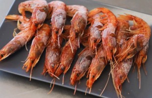 Gambero congelato, crudo sicuro?