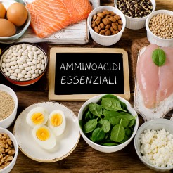Gli amminoacidi essenziali