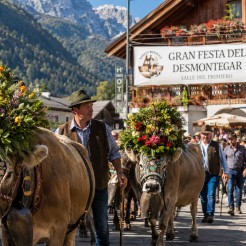 La Gran Festa del Desmontegar