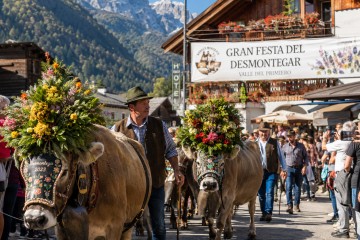 La Gran Festa del Desmontegar