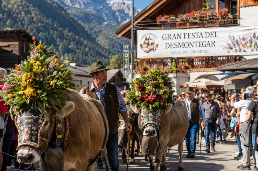 La Gran Festa del Desmontegar