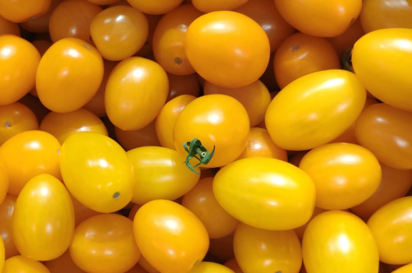 A tavola con i pomodorini gialli