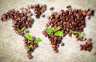 I meridiani del caff&egrave;