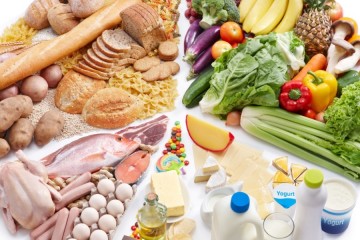 Il trattato sull&rsquo;alimentazione