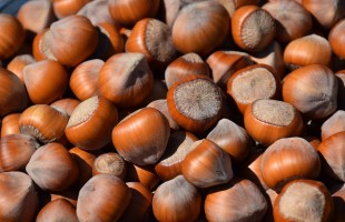 Nocciole e derivati