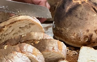 Storia del pane